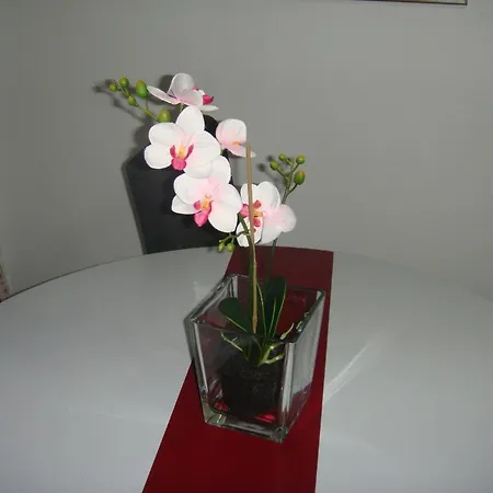 Inn-alfama Apartamento *